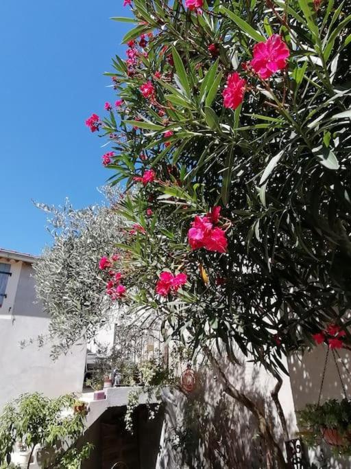 La Chamade Maison De Village Climatisee Lapalud Dış mekan fotoğraf