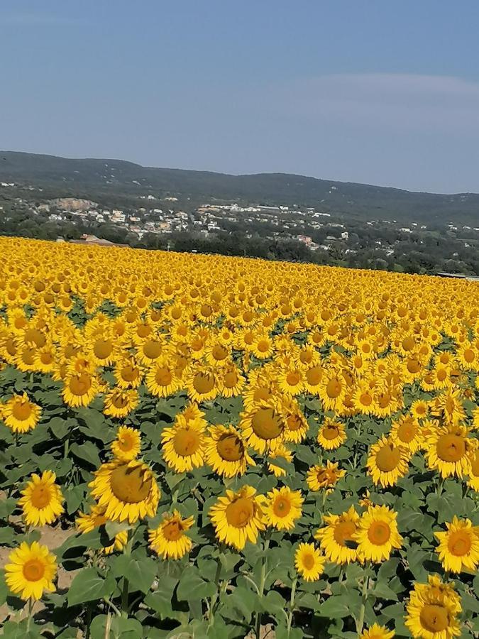 La Chamade Maison De Village Climatisee Lapalud Dış mekan fotoğraf